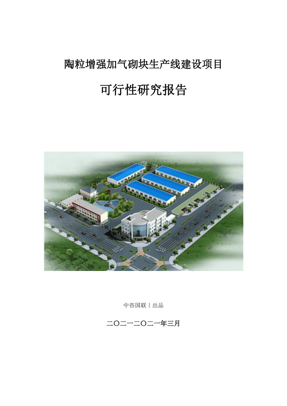 陶粒增强加气砌块生产建设项目可行性研究报告