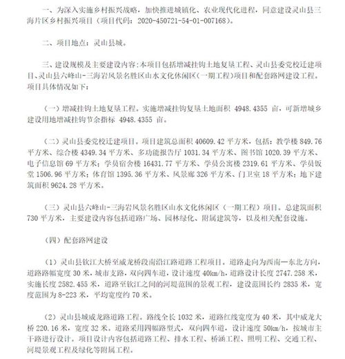 乡村振兴项目专项债可行性研究报告