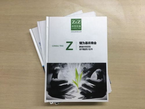 项目可行性研究报告的格式与5大要素,新手必读