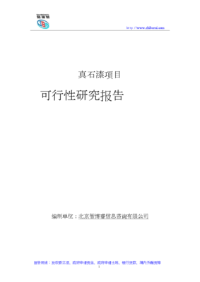 真石漆项目可研报告2.doc