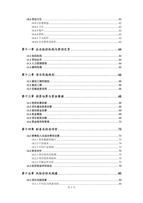 互联网中央洗涤工厂项目可行性研究报告建议书.doc