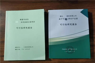 茂名包装印刷项目可行性研究报告