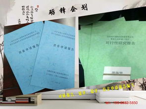 桓台县本地可行性研究报告编写的行业领军者